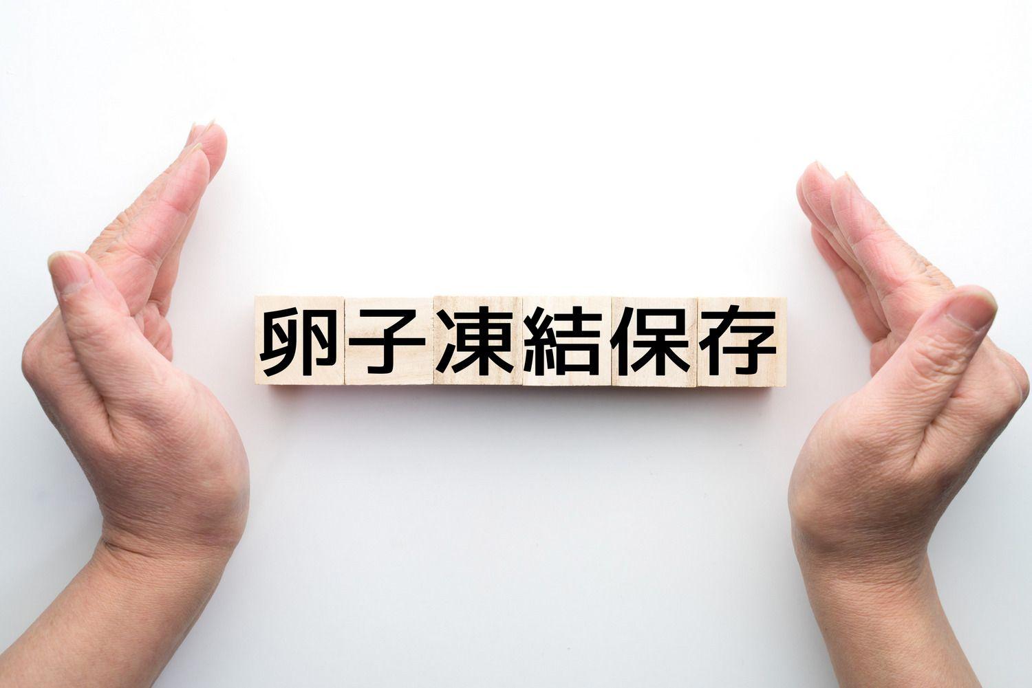 社会的卵子凍結 不妊治療